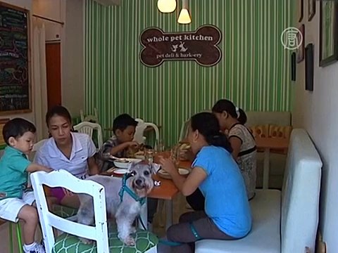 На Филиппинах открыли кафе для животных и людей