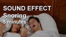 Snoring - Very Bad Snoring - 5 minutes  SOUND  EFFECT