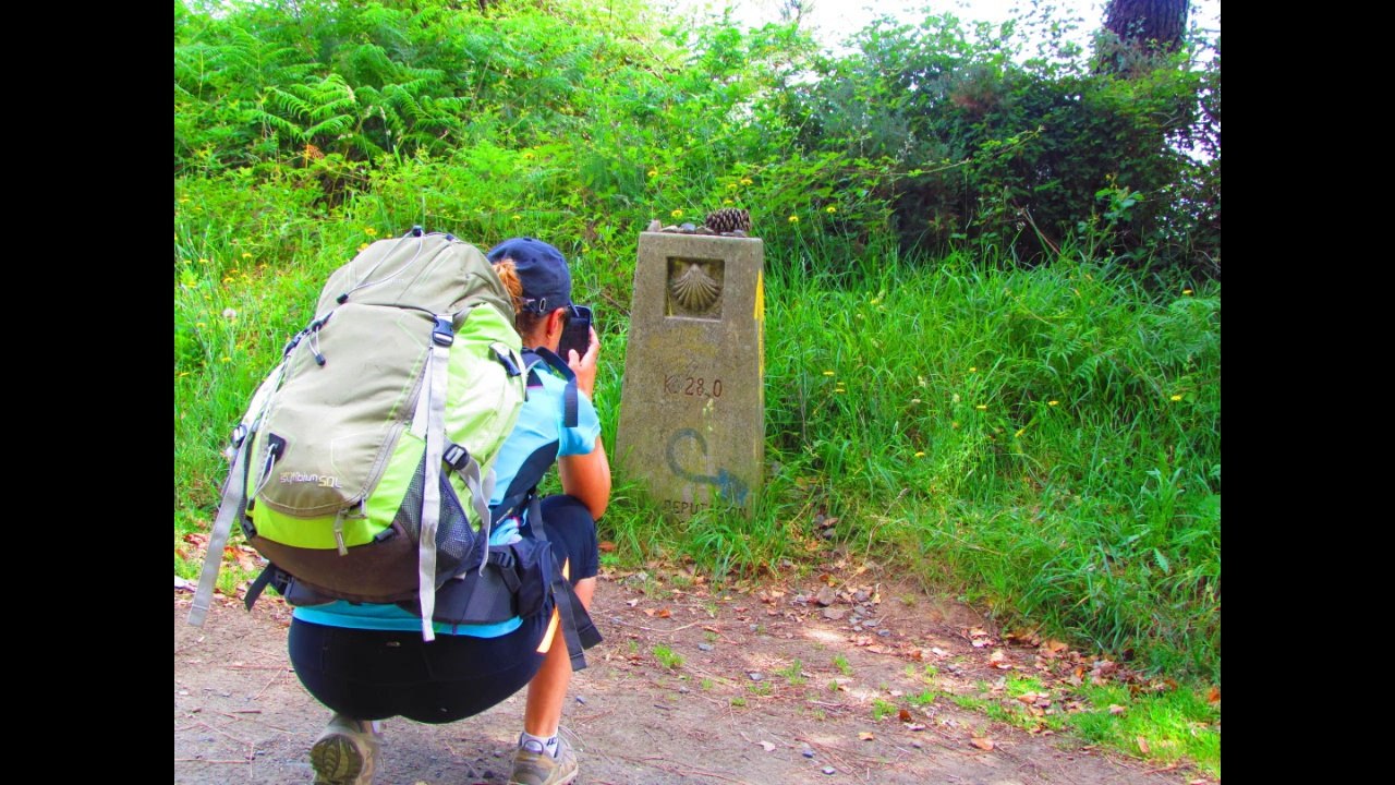 CAMINO DE SANTIAGO