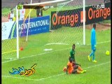 الكاميرون 4 - 1 ساحل العاج