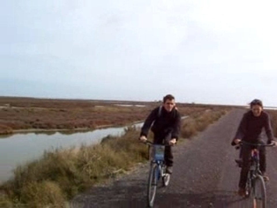 Vélo en camargue