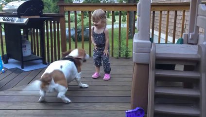 Cute Dog And Adorable Baby