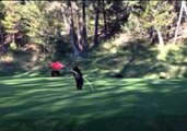 Mischievous Bear Cub Plays With Flag on Golf Course Green