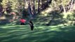 Mischievous Bear Cub Plays With Flag on Golf Course Green