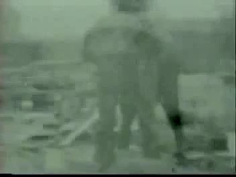 Electrocuting an Elephant (Edison, 1903)
