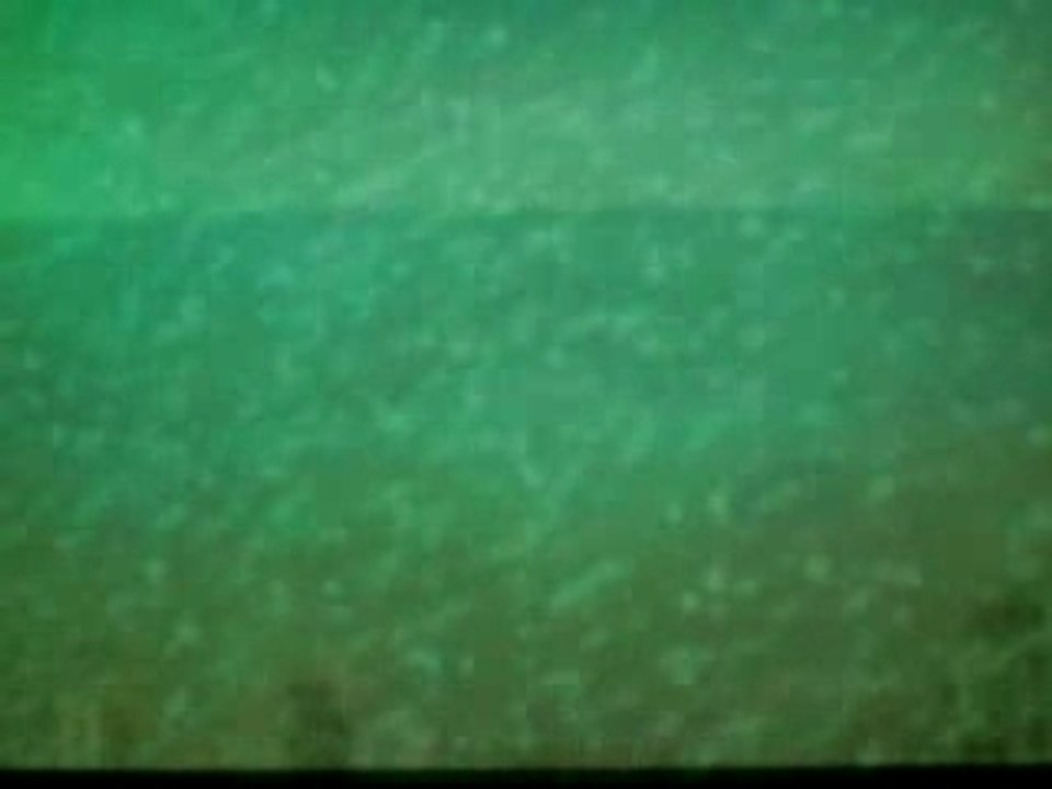 CIMG1113