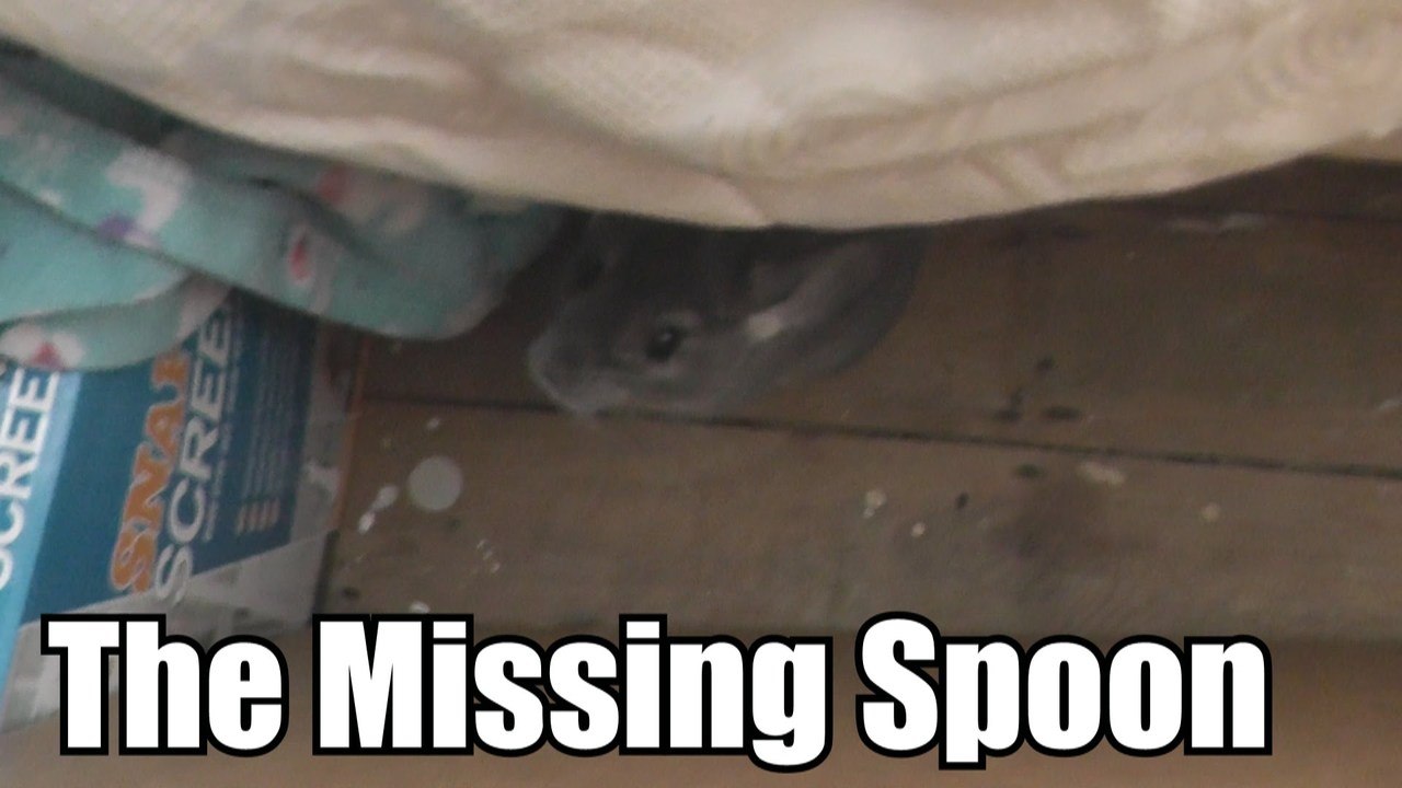 The Missing Spoon | Daily Life Vlog