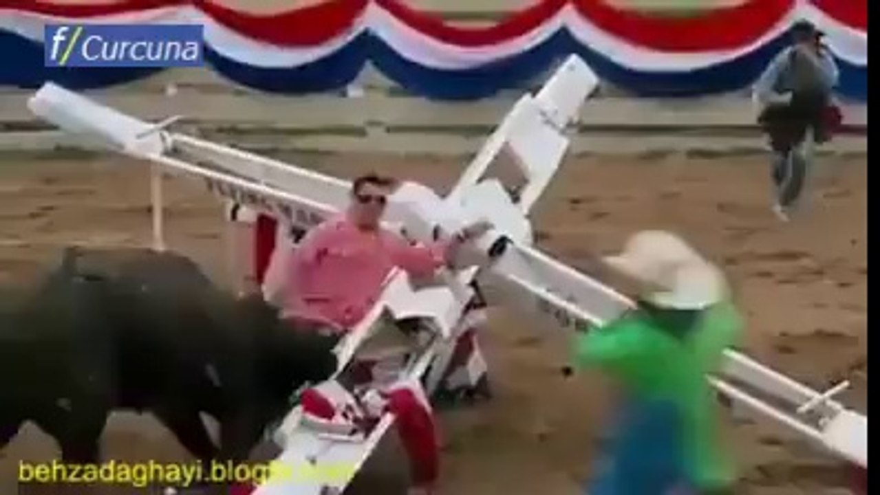 Boğa güreşine farklı bir boyut getirmişler