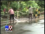 Dumb wildlife in rain-hit zoo cries for help, Vadodara - Tv9 Gujarati