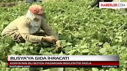 Rusya'ya Gıda İhracatı İçin 162 Firmaya İzin Çıktı