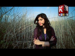 Asif Siyal - Gum Hoya