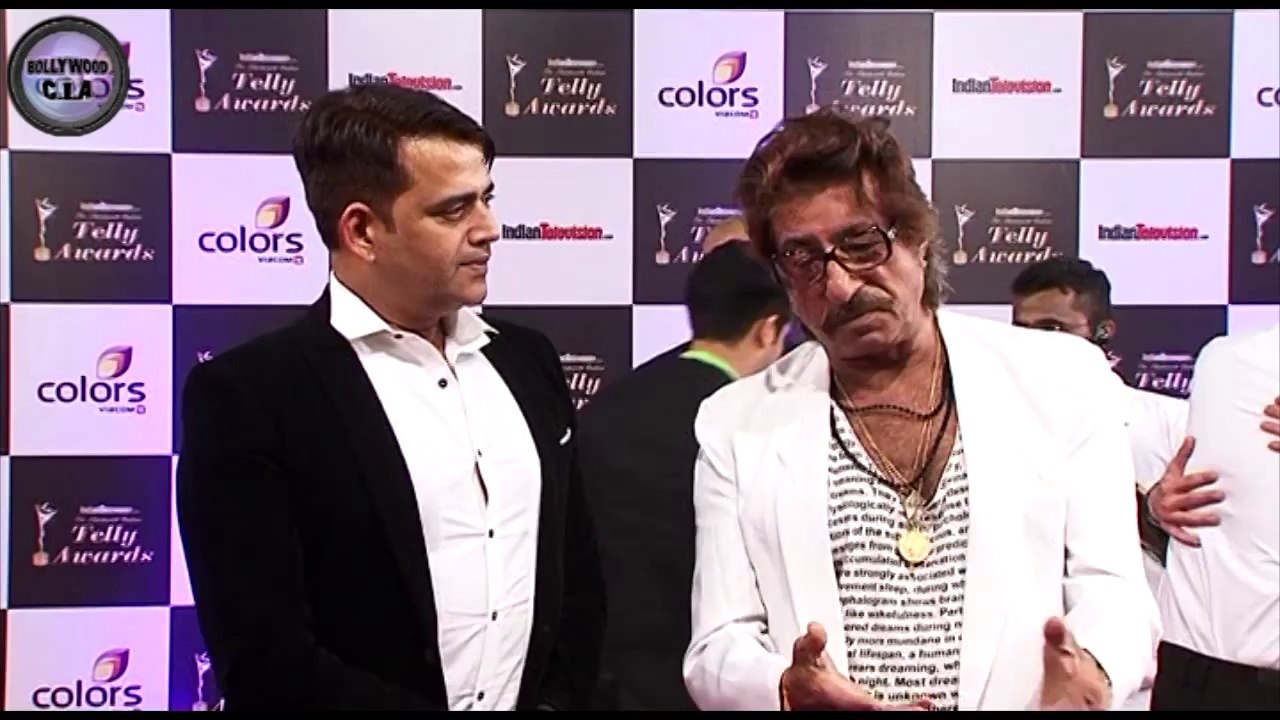 Telly Awards 2014 | Anil Kapoor, Celina Jaitley, Krystle Dsouza & MORE!