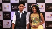 Colors Telly Awards 2014  - Red Carpet - Full Show