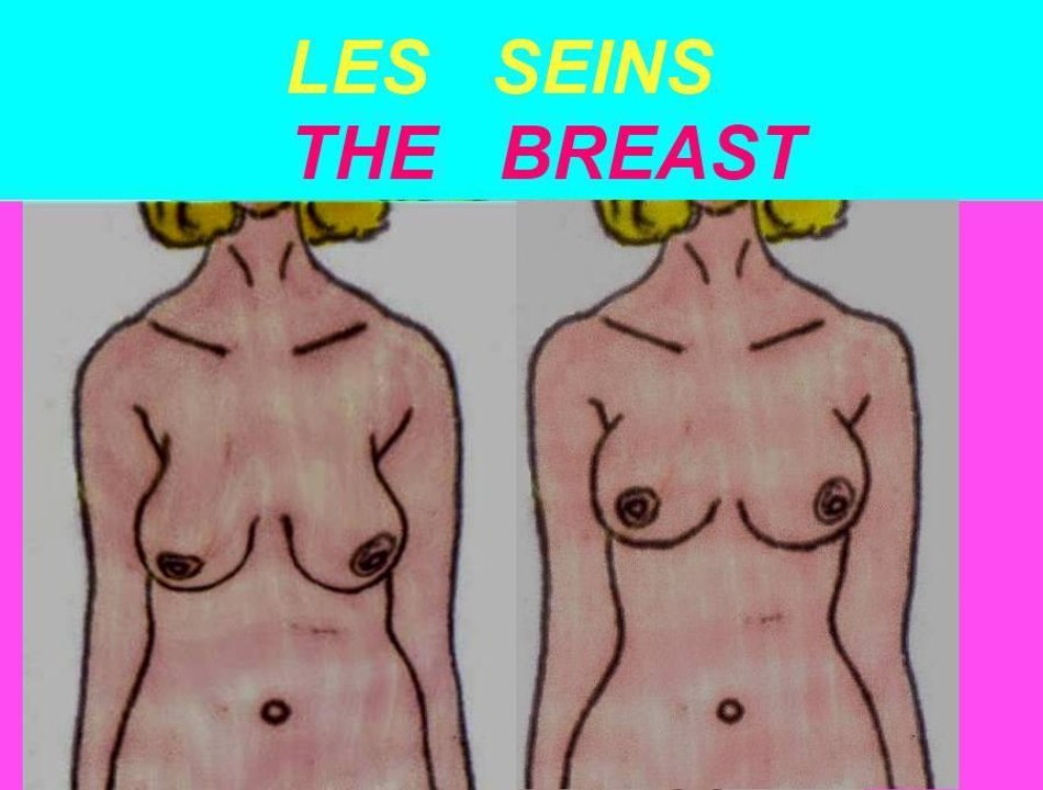 female's body transformation between 20 and 50 years