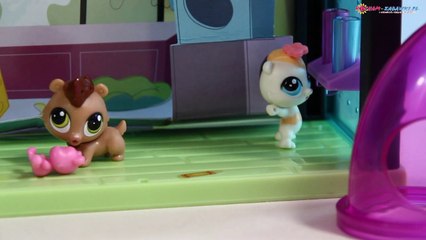 Pet-acular Fun Room Style Set / Bawialnia - Style Sets - Ulubione Miejsca - Littlest Pet Shop - A8543 - Recenzja
