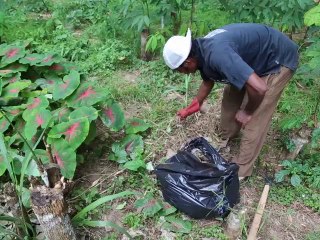 JOURNEE ECO-CITOYENNE / CORAP / BONOUA