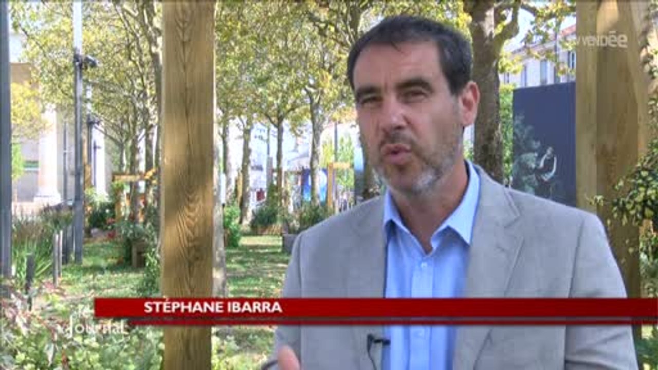 Sénatoriales 2014 : Les priorités de Stéphane Ibarra