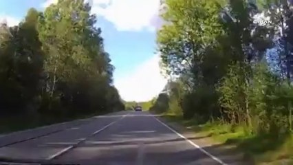 Rusya'da araba kazası