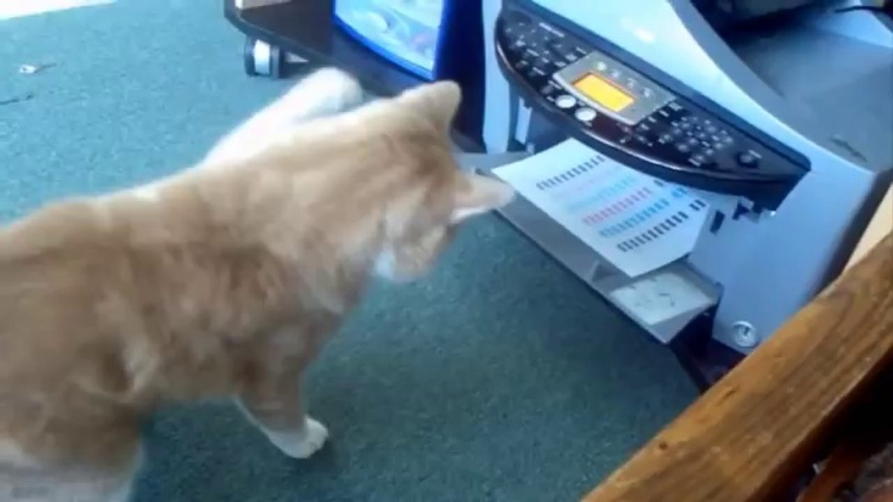 Pranks - Gags - Win - Fail.78
