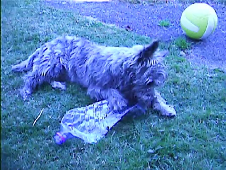 Jaudy préfère jouer avec la bouteille
