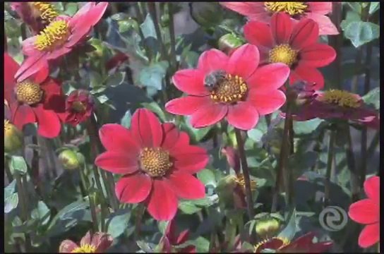 Greener Information Age Transforming Energy, Finance And Our Future