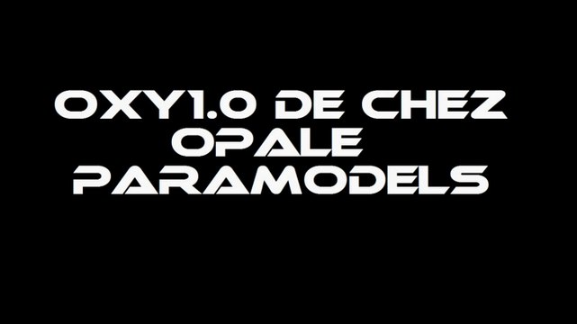 vol de nuit paraglider rc