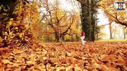 Shakk Vi Naheen Si - Manmohan Waris