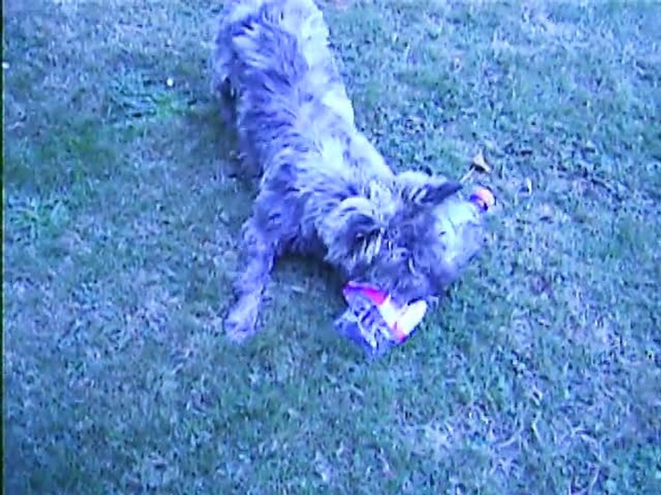 enfin une vraie bouteille!!!!!!