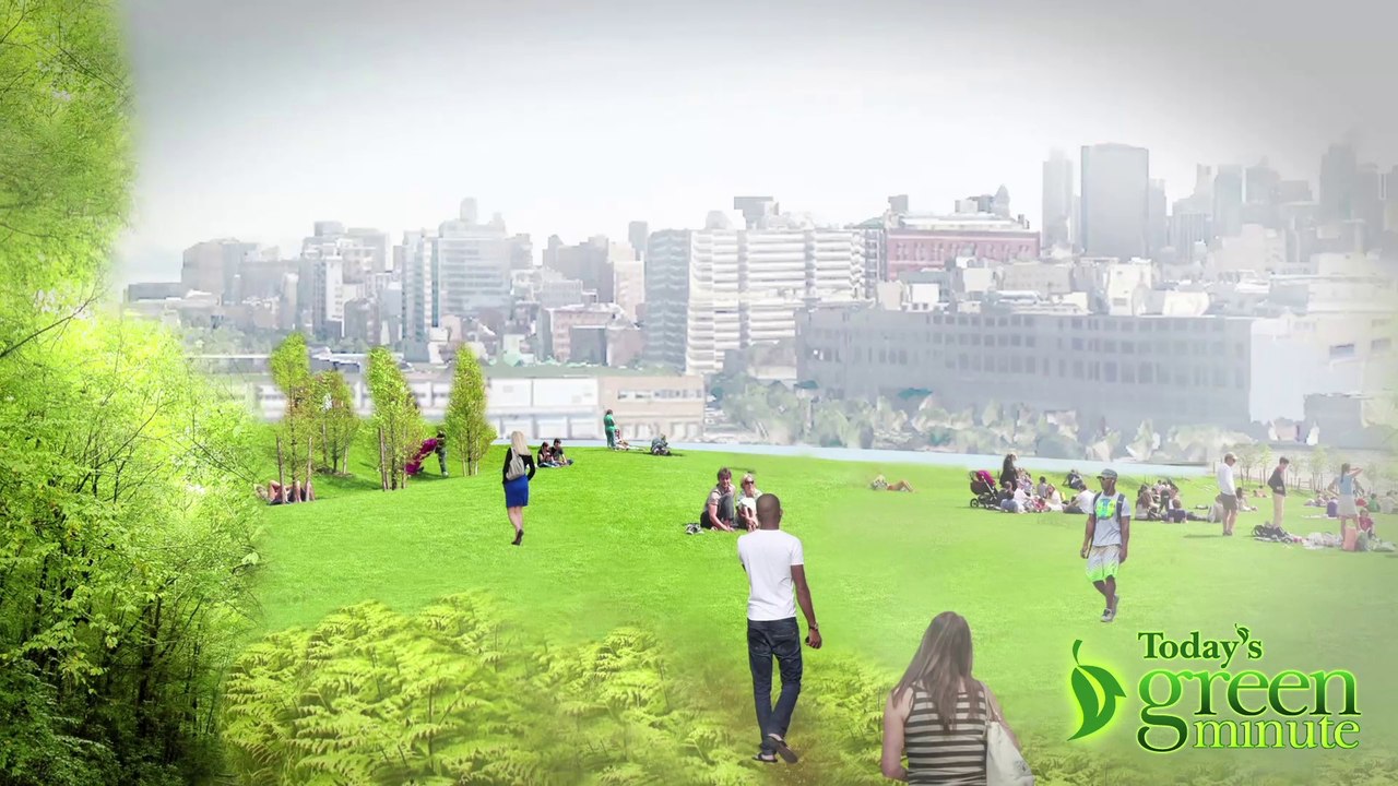 New York’s Compost Innovation?