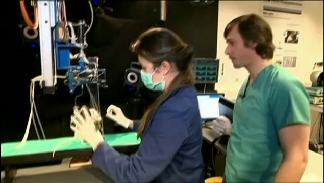 Le labo où les chercheurs font marcher des rats paralysés