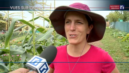 Vues sur l'actu du 11 septembre 2014