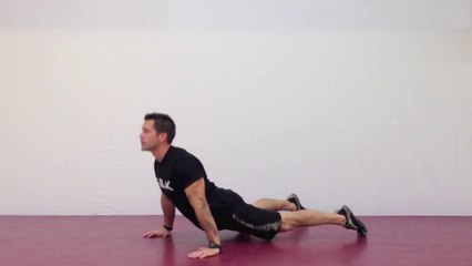 Evde Egzersiz - Seal Push-Ups - Fitekran.com