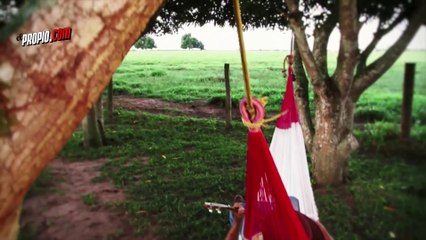 Descubre la nueva producción de la Flor de Zaraza "Sigo Siendo Rummy Olivo"