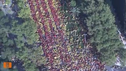 Vídeo amb imatges aèries de la V de la Diada:
