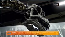 Un dinosaure de 14 mètres au musée des Confluences