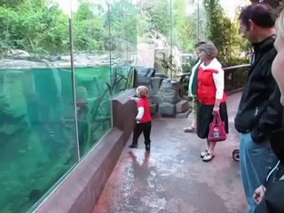 Kid Playing With An Otter - Too Cute!