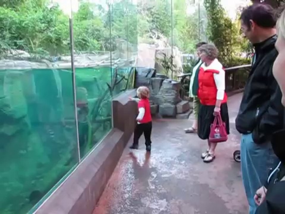 Kid Playing With An Otter - Too Cute!
