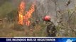 Tres incendios consumieron más de treinta hectáreas de bosque en Latacunga