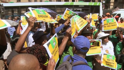 Women's rights campaigners want Pistorius jailed