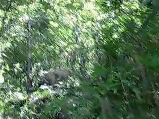 ラムと父と登山