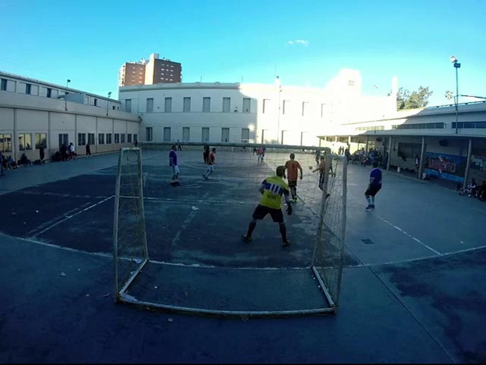 Rotmal Gol 140906