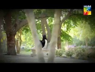 Dil e Muzter OST Full Title Song - Drama Hum Tv _
