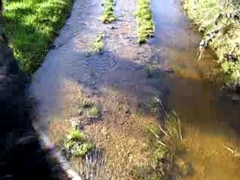 Balade dans les chemins humides!!