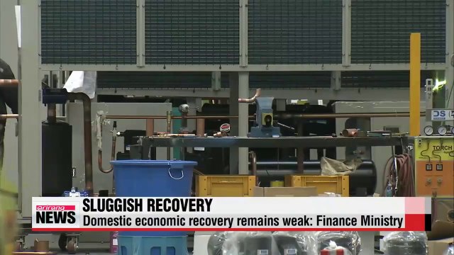 Domestic economic recovery remains sluggish Finance ministry