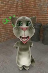 Funny Very Funny Cat Singing a Song