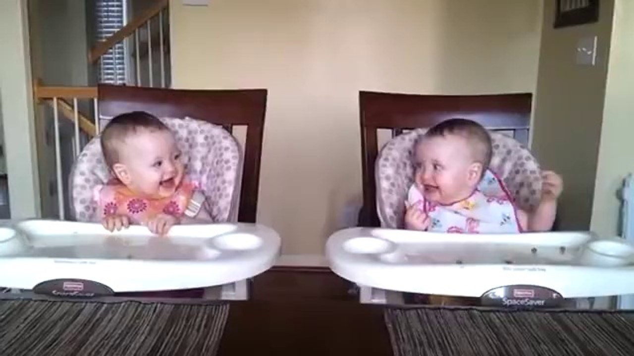 Funny Videos