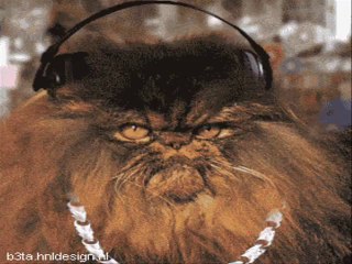 Very Funny Animated CAT GIFs - MUSIC