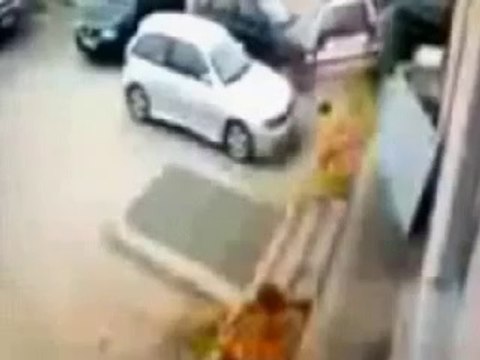 Vines screaming goat very funny videos funny dogs cat jump fail