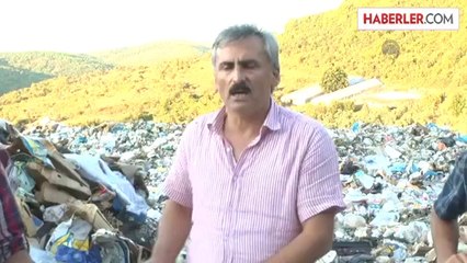 Ormanlık alana çöp döküldüğü iddiası -