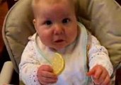 Viral Clip of Child Eating Lemon Still Resonates